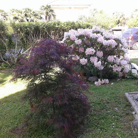 Les Floralies Bis Lägenhet Pau Exteriör bild