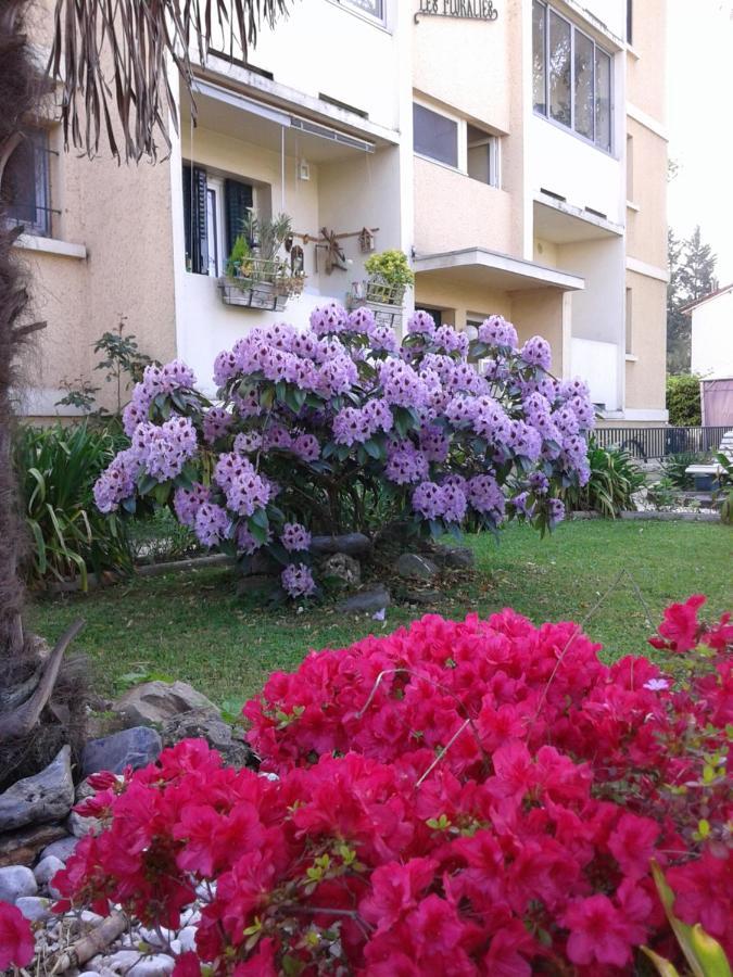 Les Floralies Bis Lägenhet Pau Exteriör bild