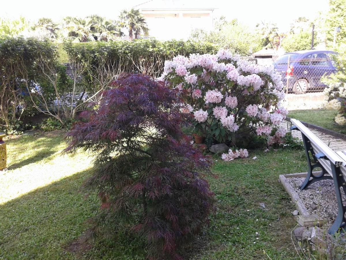 Les Floralies Bis Lägenhet Pau Exteriör bild